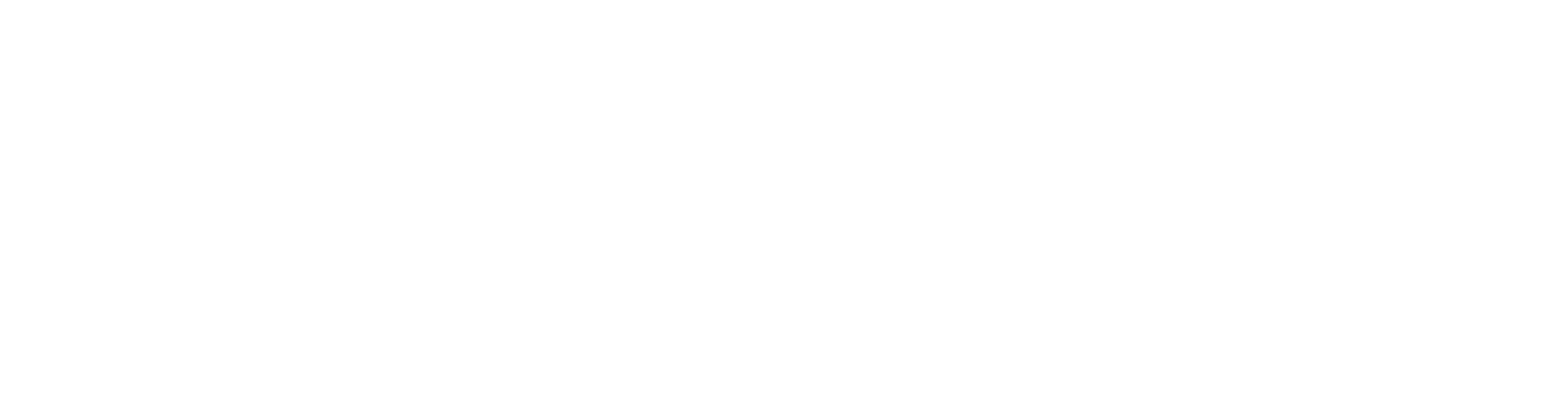 Zieliński Consulting